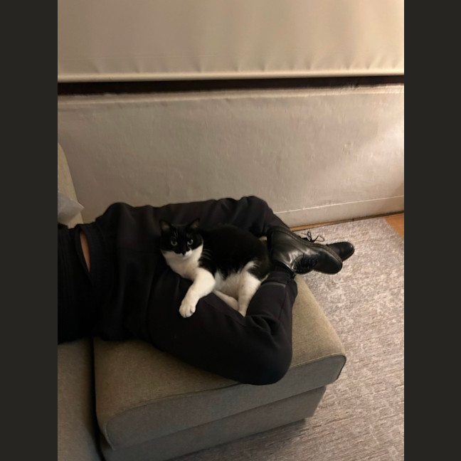 Photo of Millie & Diego