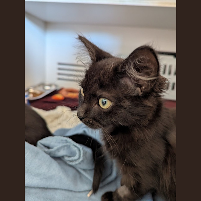 Photo of Ray