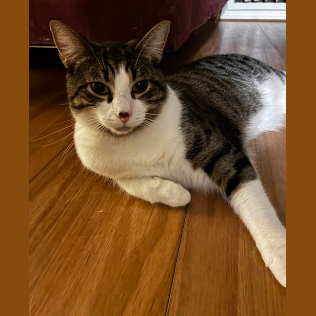 Photo of Zeus 