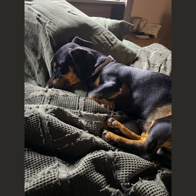 Photo of Boris