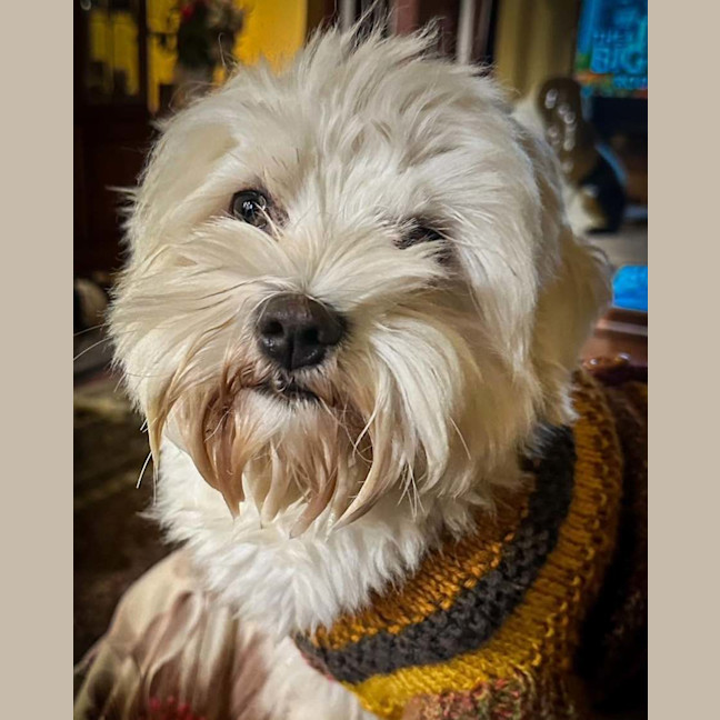Photo of Arkie