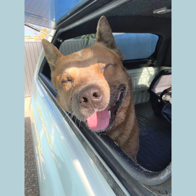 Photo of Ace