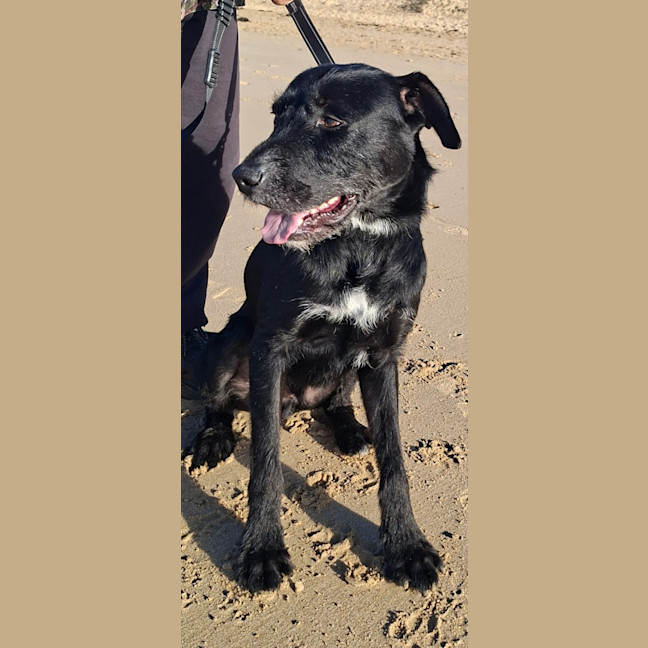 Photo of Billy (60926)