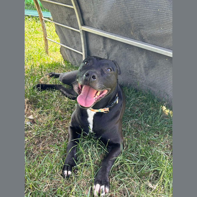 Photo of 🍂 Sienna 5634 🍂