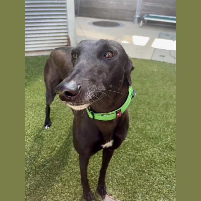 Photo of Halsey Hall