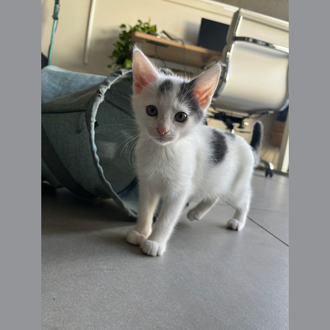 Photo of Mellie Baby