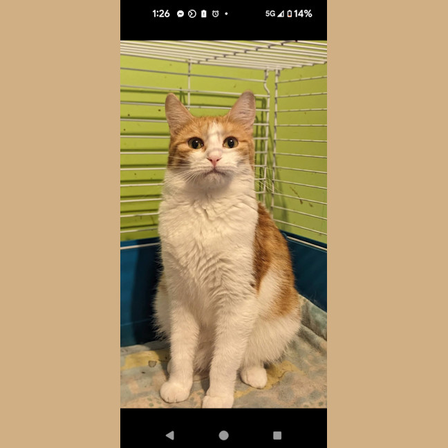 Photo of Tracey