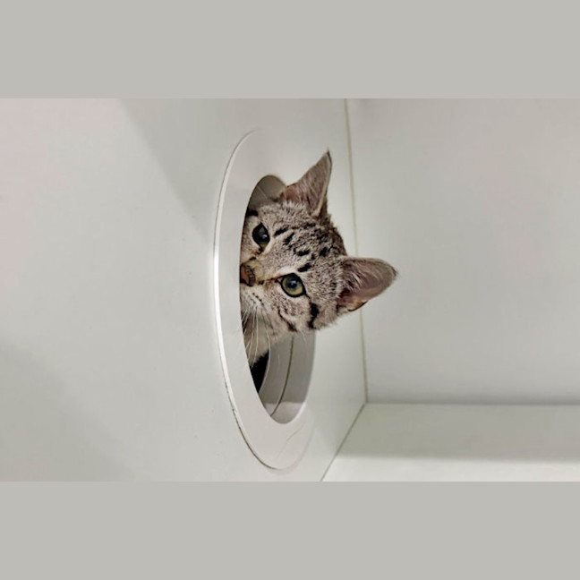 Photo of Microwave