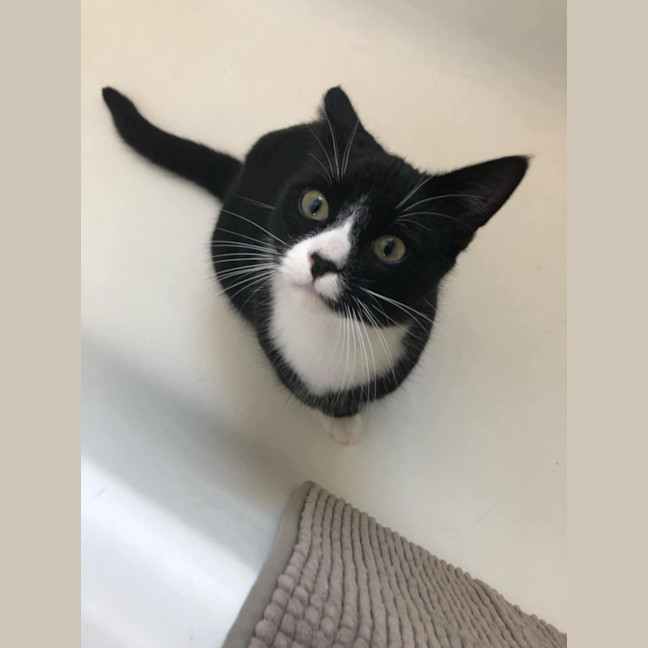 Photo of Stanley & Rosie