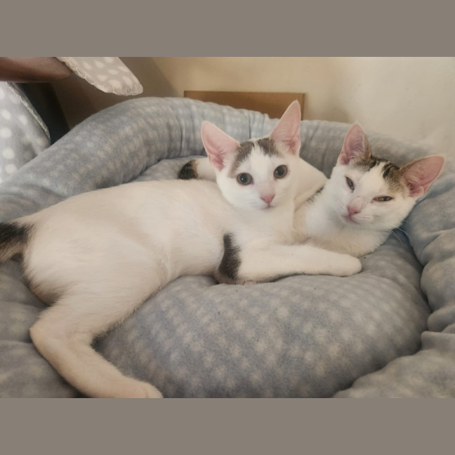 Photo of Verity & Solace