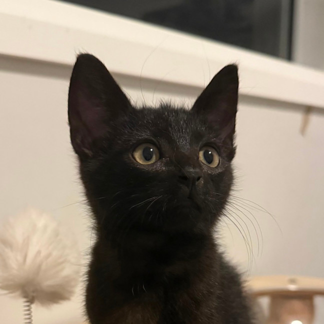 Photo of Elliott 🥥