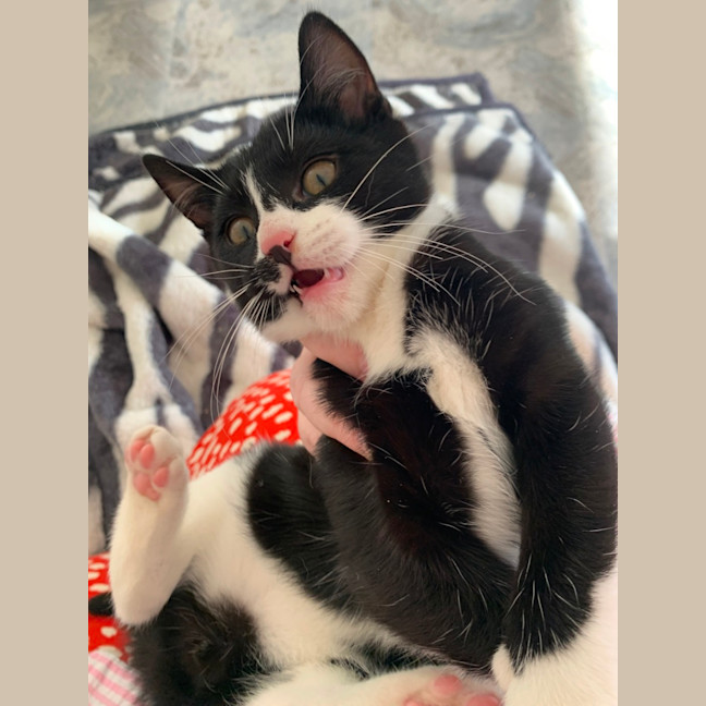 Photo of Christopher