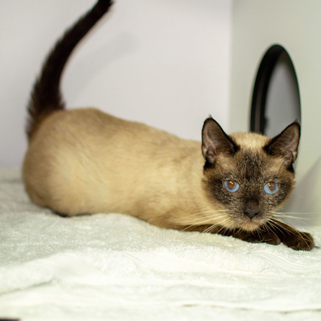 Photo of Liara