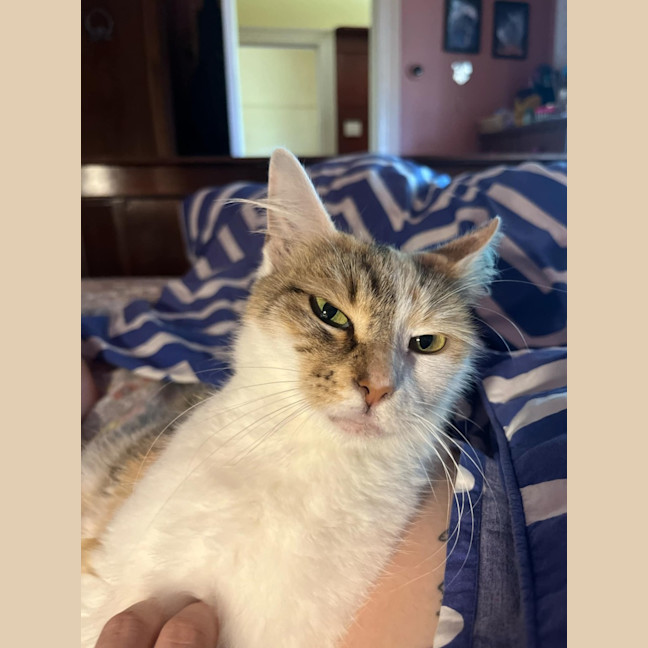 Photo of Kiki