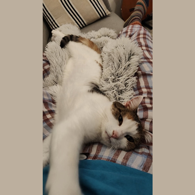 Photo of Skeeta 