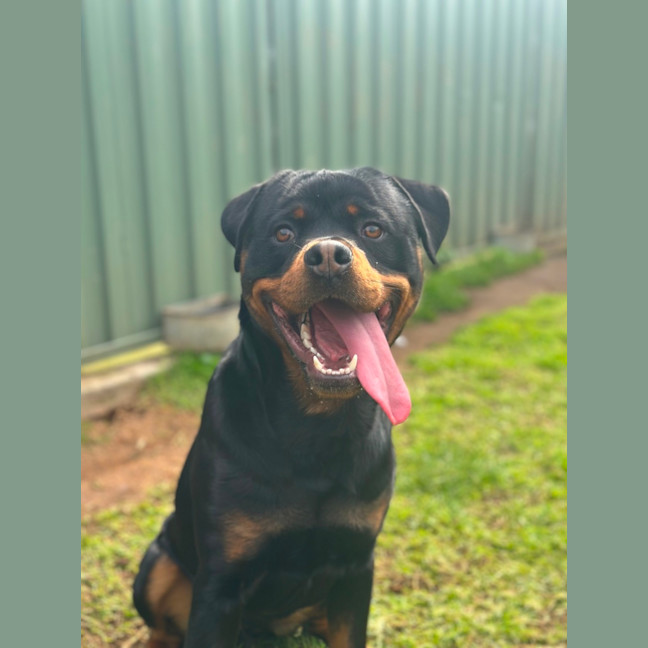 Photo of Max