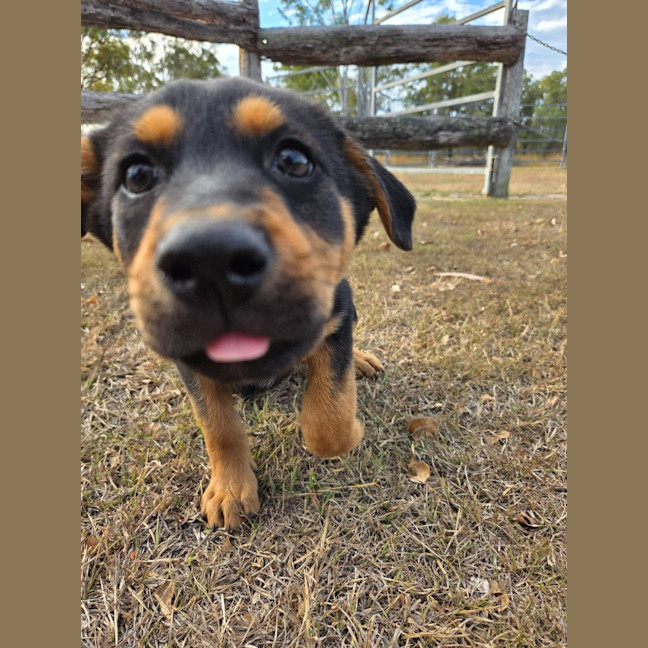 Photo of Skye