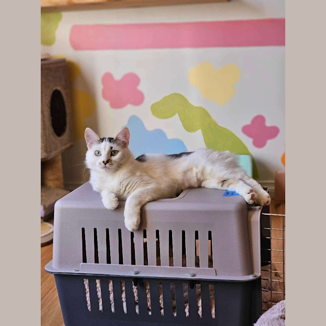 Photo of Hallie