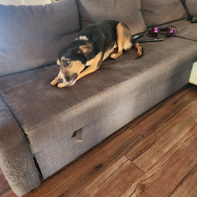 Photo of Treya
