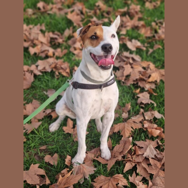 Photo of Remus