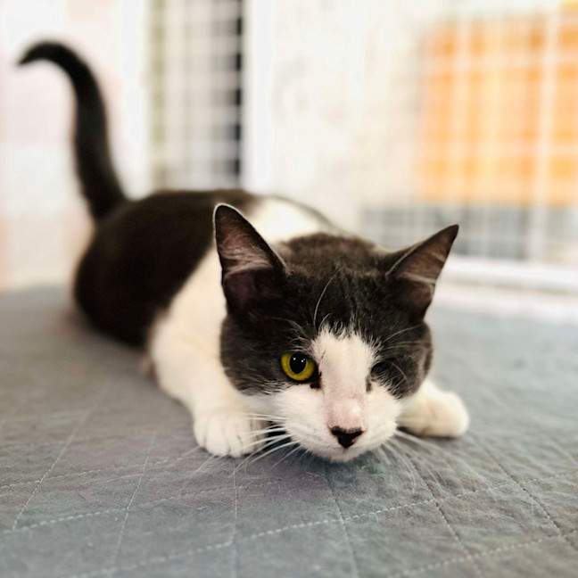 Photo of Bonnie   Located In Preston