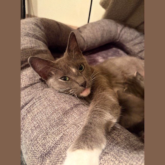 Photo of Pippa