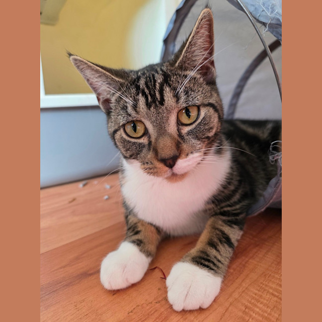 Photo of Betty