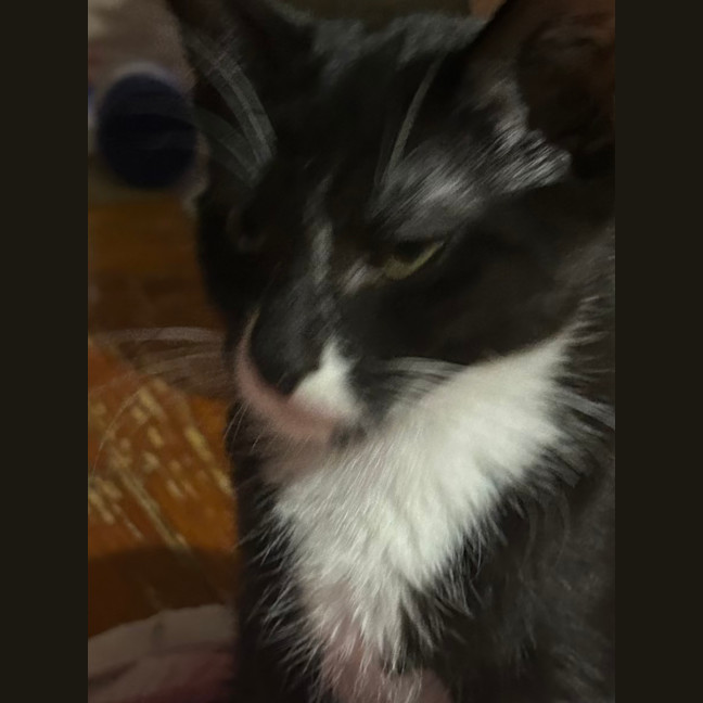 Photo of Finnian