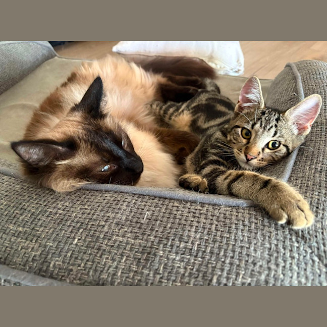 Photo of Peter & Griffin 