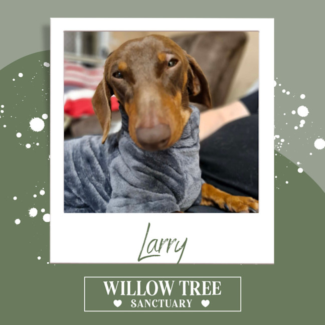 Photo of Larry