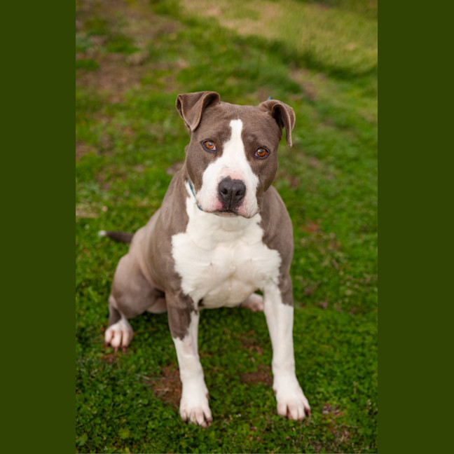 Photo of Zena