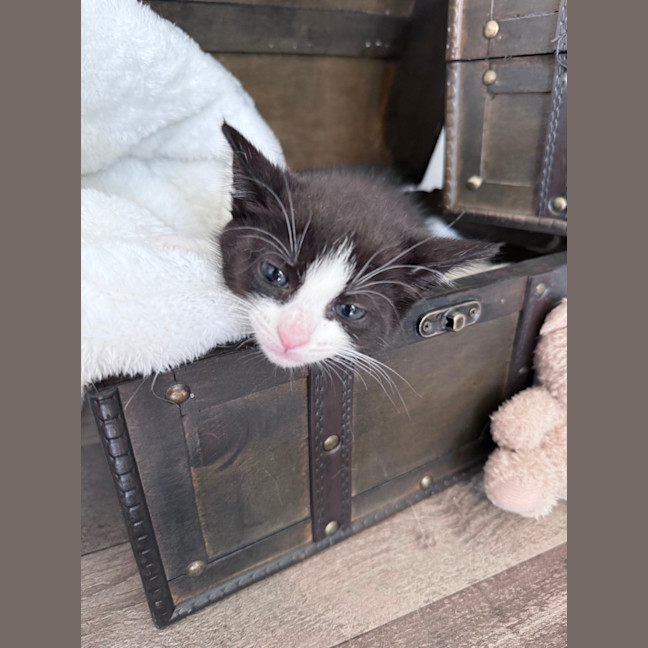 Photo of Addy 🌸🌸