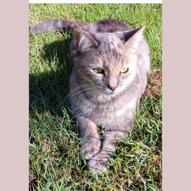 Photo of Molly
