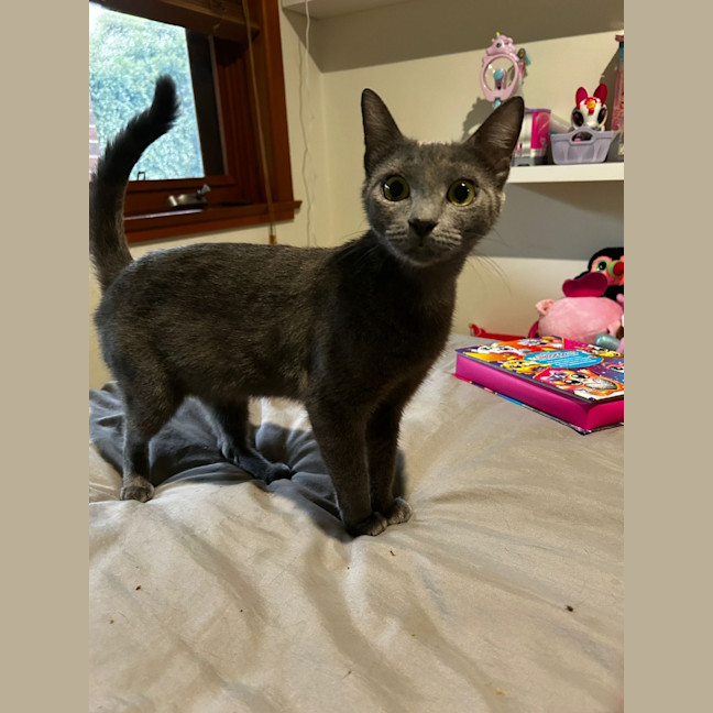 Photo of Silvie