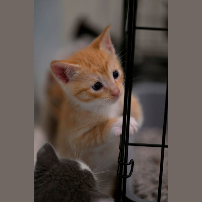 Photo of 🧡 Cinnabon 🤍