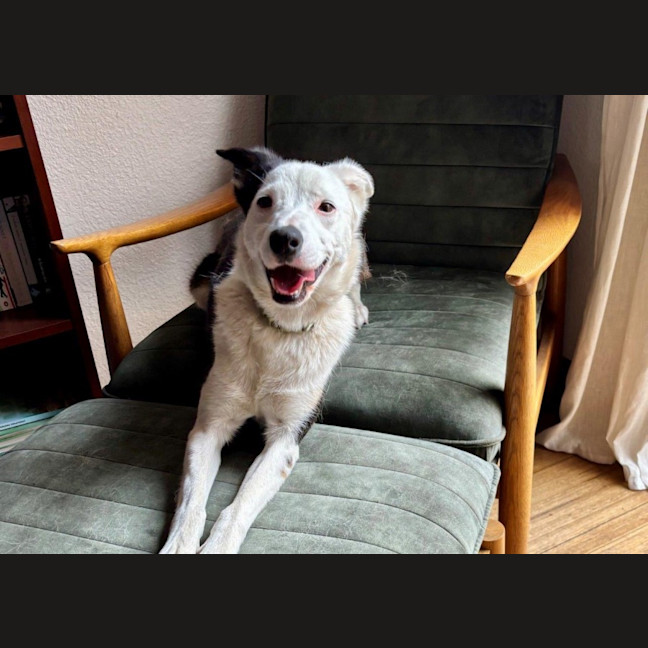 Photo of Xena Uffelman