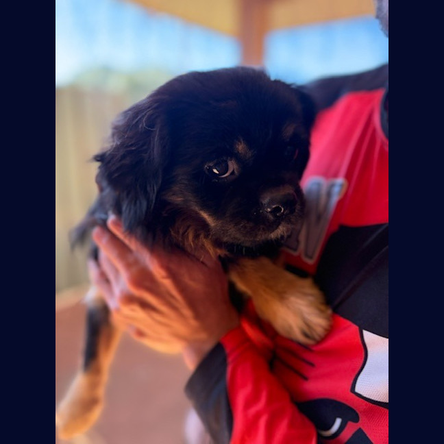 Photo of Kiki