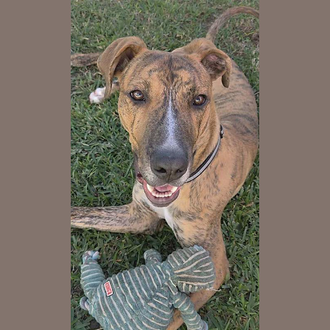 Photo of Tank