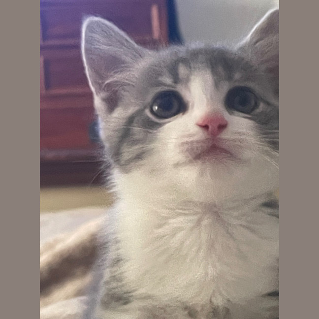 Photo of Minnie Mimi
