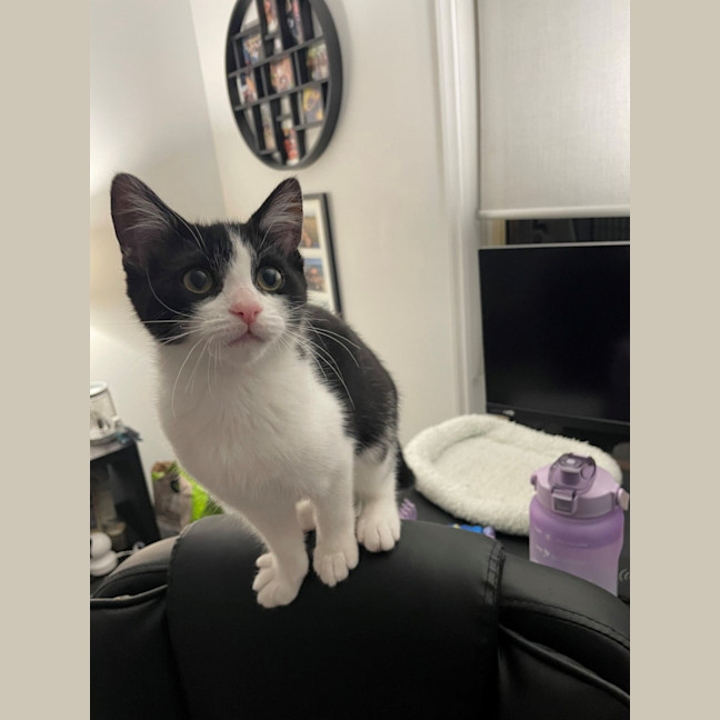 Photo of Penelope