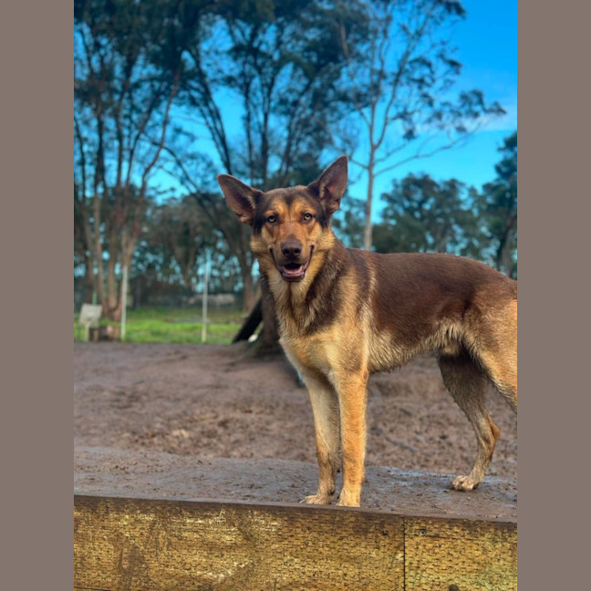 Photo of Theo