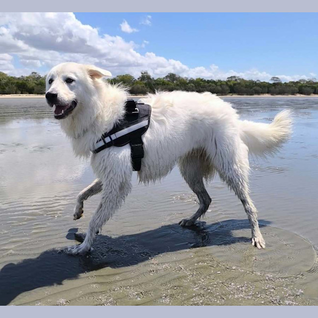 Photo of Zeus