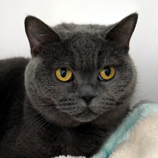 Photo of Lizzy Sua014303