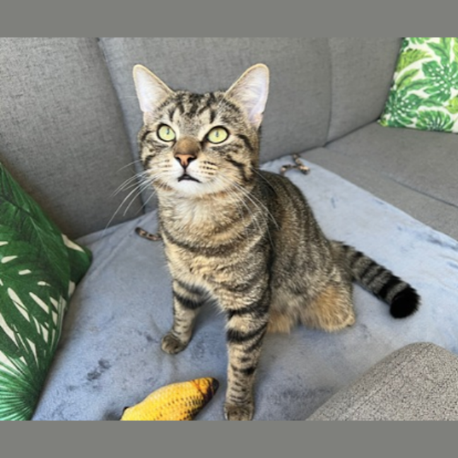 Photo of Max