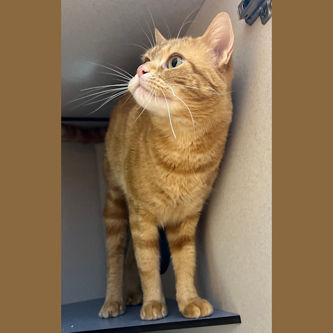 Photo of Melvin 