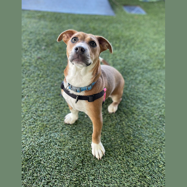 Photo of Lola