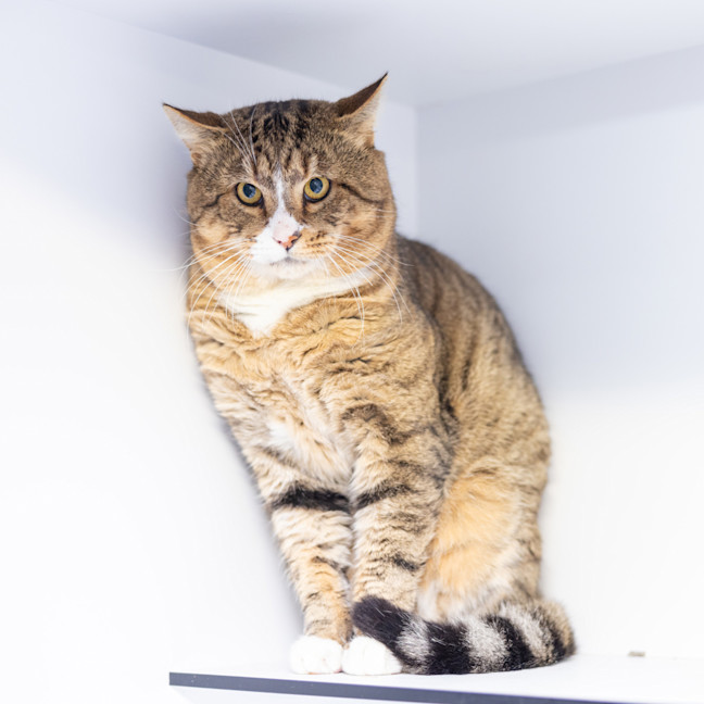 Photo of Buddy