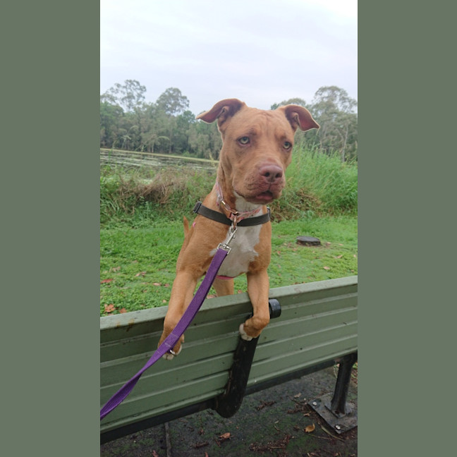 Photo of Lettie