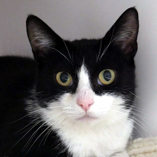 Photo of Lilo Sta013352