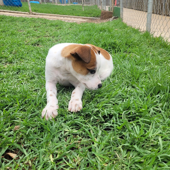 Photo of Rocket